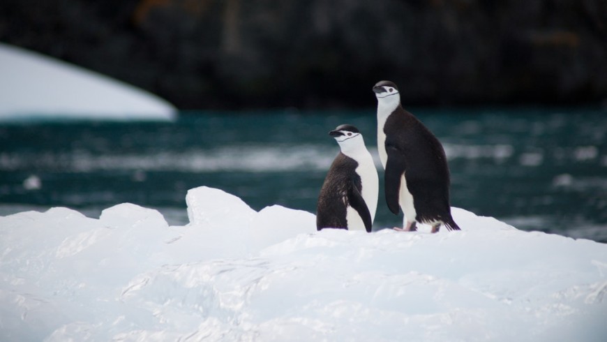 glaciar derretido