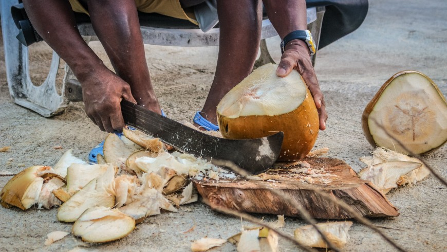 Eat Farm-To-Table, un coco en Costa Rica