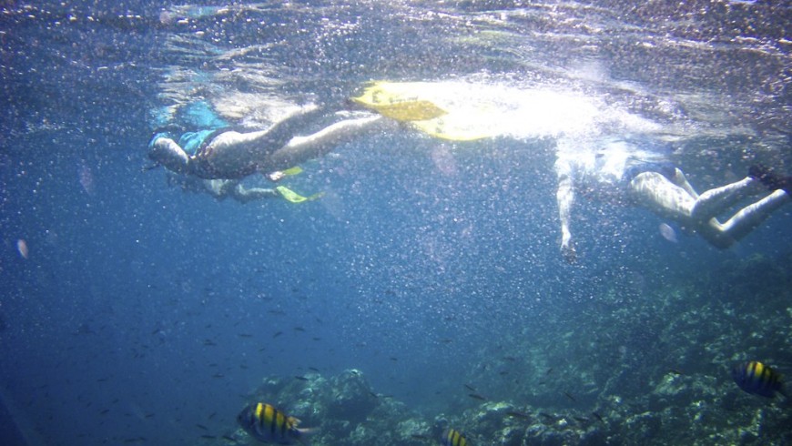 Snorkel en Costa Rica