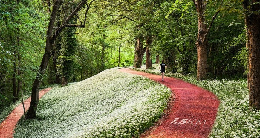 Parkorman: el parque donde caminas entre los árboles